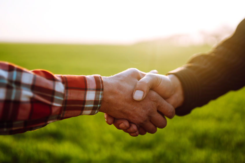 Two businessmen shaking hands in a field stock photo.