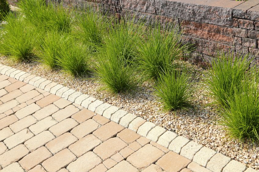 A garden with grass and a brick wall.