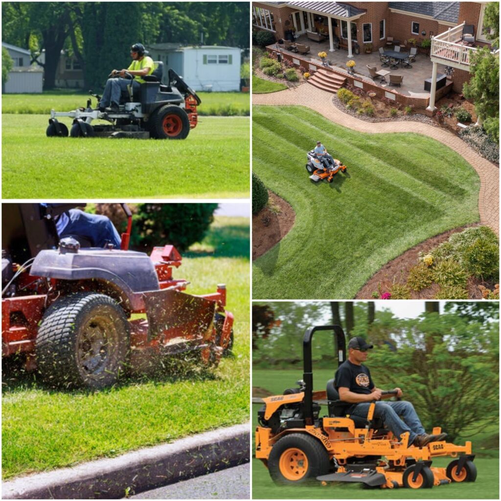 Grass Masters 1
