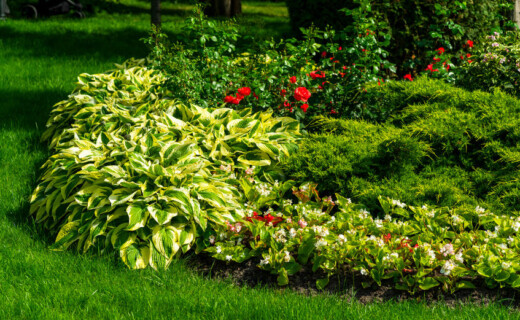 Landscaping Design & Installation A garden with a lot of green grass and flowers.
