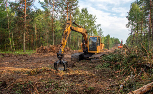 A yellow excavator in a forest.