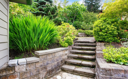 Hardscaping Design & Installation A stone stairway leading to a garden in a backyard.